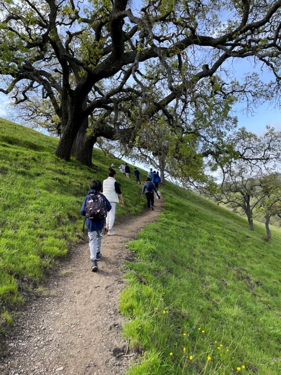 Image_20251221095333_92_8