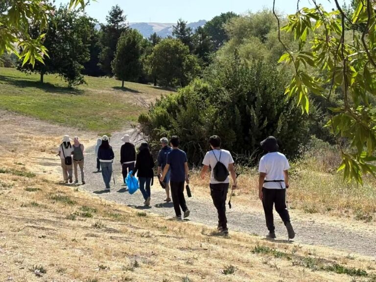 Image_20251221174909_118_8