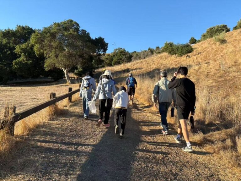 Image_20251221174938_131_8